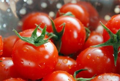 番茄娱乐圈吃瓜读心